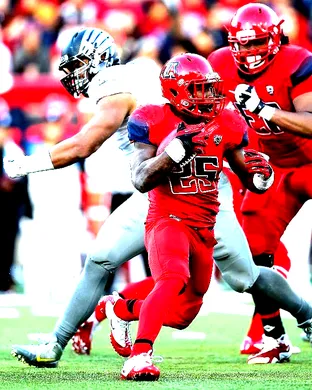 Arizona Wildcats Football Provo