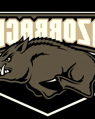 Arkansas Razorbacks Salt Lake City