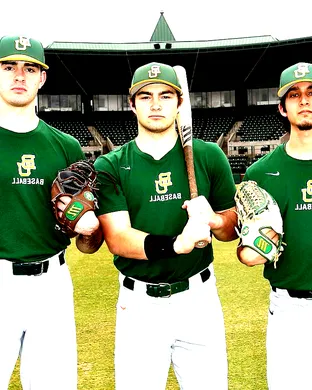 Baylor Bears Baseball Waco