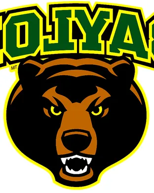 Baylor Bears Salt Lake City