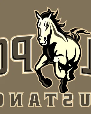 Cal Poly Mustangs Sandy