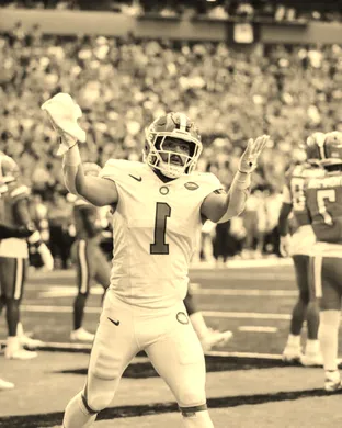 Clemson Tigers Clemson