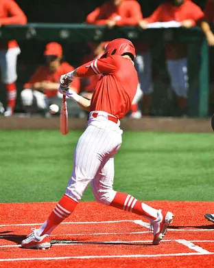 Houston Cougars Baseball Sandy