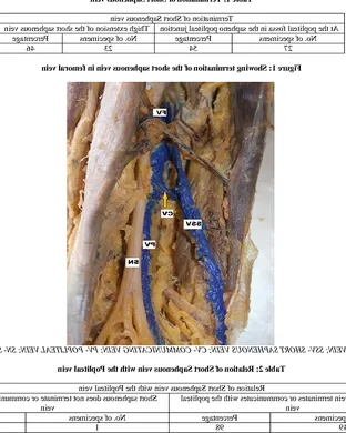 John-Robert Salt Lake City