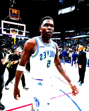Minnesota Timberwolves Minneapolis
