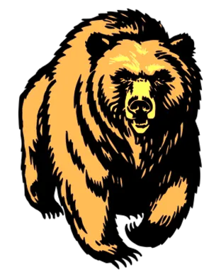 Montana Grizzlies Missoula