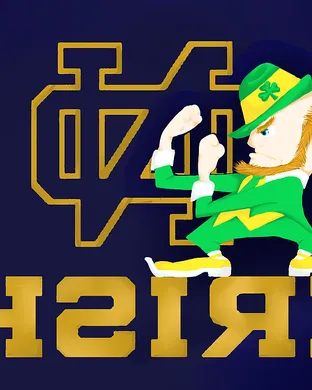 Notre Dame Fighting Irish Provo