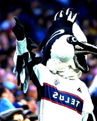Vancouver Whitecaps Fc Sandy