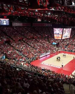 BYU Cougars Women's Volleyball Provo